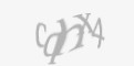 Захисний код