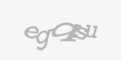 Захисний код