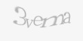Захисний код