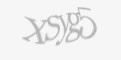 Захисний код