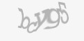 Захисний код