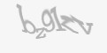 Захисний код