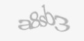 Захисний код