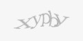 Захисний код