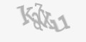 Захисний код