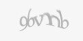 Захисний код
