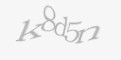 Захисний код