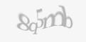 Захисний код