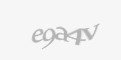 Захисний код