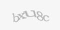 Захисний код