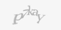Захисний код