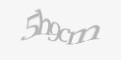 Захисний код