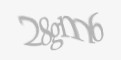 Захисний код