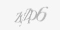 Захисний код